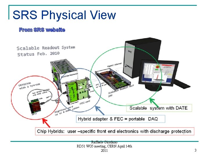 SRS Physical View From SRS website Raffaele Giordano RD 51 WG 5 meeting, CERN