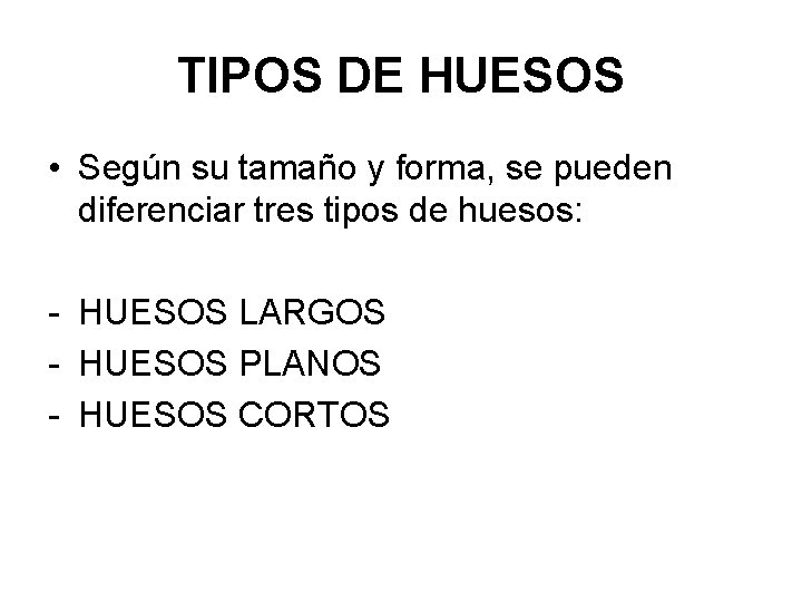 TIPOS DE HUESOS • Según su tamaño y forma, se pueden diferenciar tres tipos