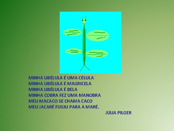 MINHA LIBÉLULA É UMA CÉLULA MINHA LIBÉLULA É MAGRICELA MINHA LIBÉLULA É BELA MINHA