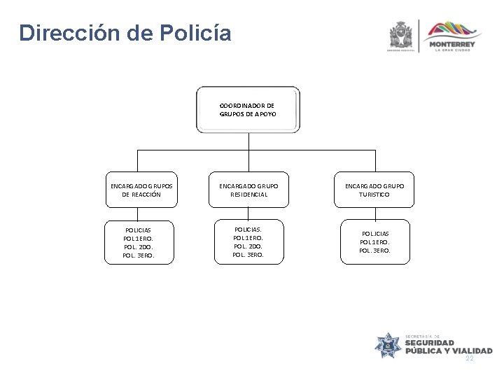 Dirección de Policía COORDINADOR DE GRUPOS DE APOYO ENCARGADO GRUPOS DE REACCIÓN POLICIAS POL