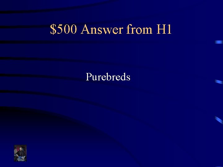 $500 Answer from H 1 Purebreds 