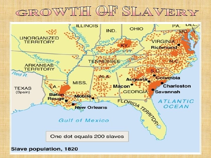 Growth of slavery Growth of slavery