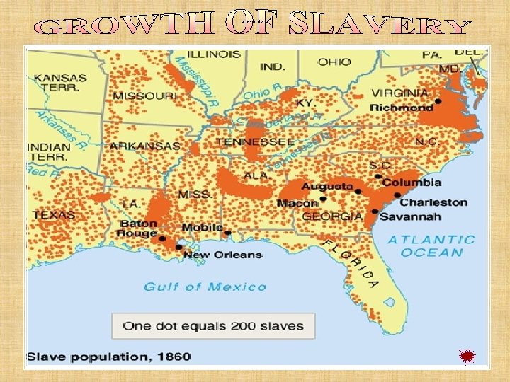 Growth of slavery Growth of slavery