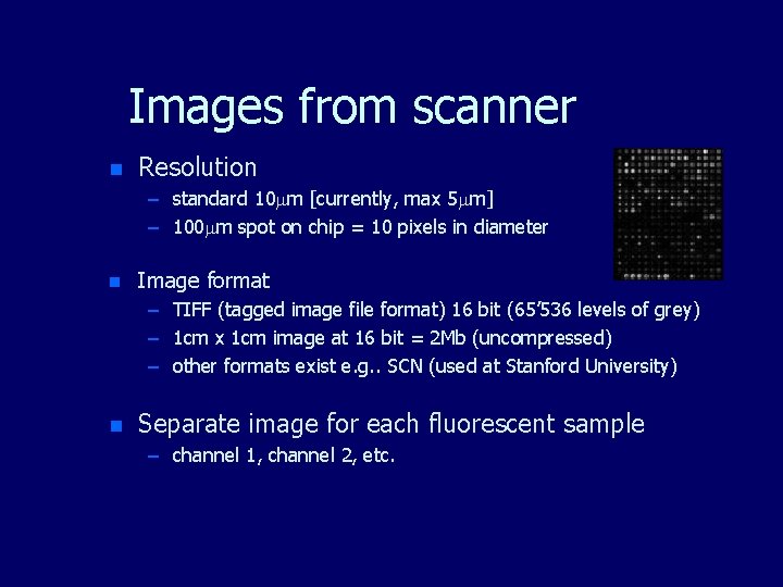 Images from scanner n Resolution – standard 10 m [currently, max 5 m] –