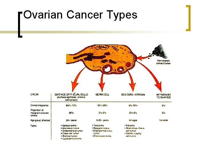 Ovarian Cancer Types 