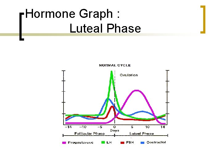 Hormone Graph : Luteal Phase 