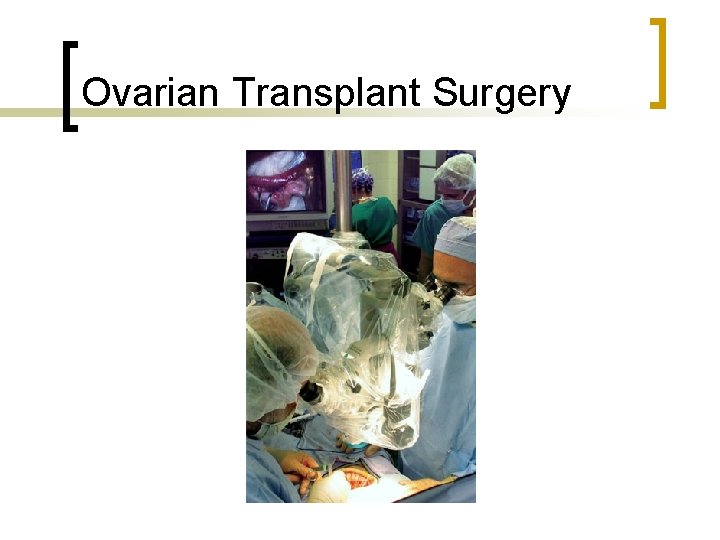 Ovarian Transplant Surgery 