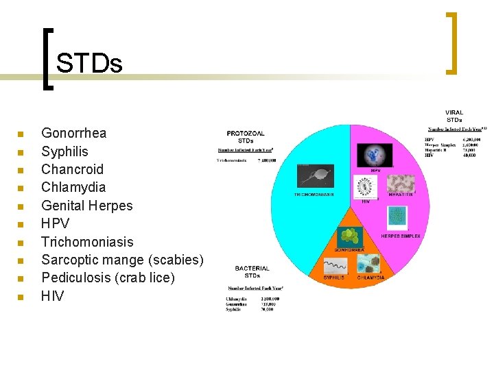 STDs n n n n n Gonorrhea Syphilis Chancroid Chlamydia Genital Herpes HPV Trichomoniasis