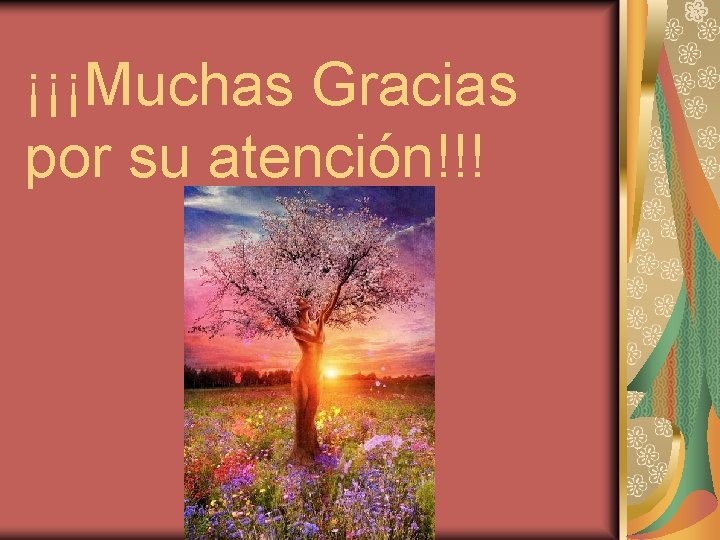 ¡¡¡Muchas Gracias por su atención!!! 