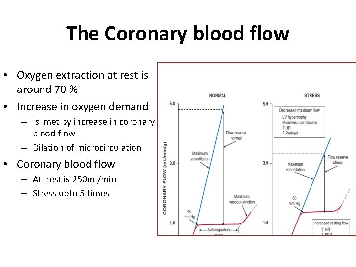 The Coronary blood flow • Oxygen extraction at rest is around 70 % •