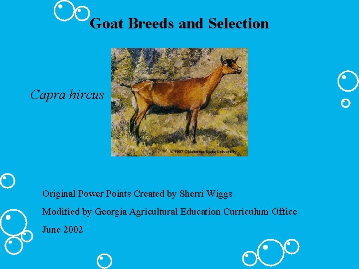 Goat Breeds and Selection Capra hircus Original Power Points Created by Sherri Wiggs Modified