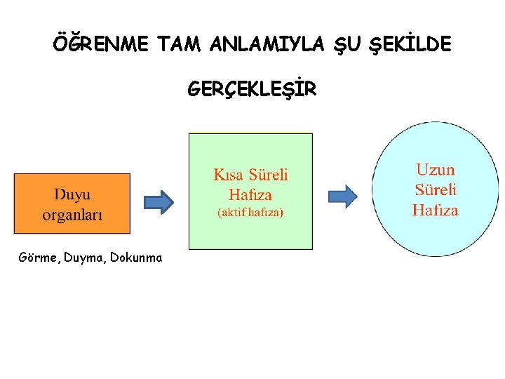 ÖĞRENME TAM ANLAMIYLA ŞU ŞEKİLDE GERÇEKLEŞİR Görme, Duyma, Dokunma 