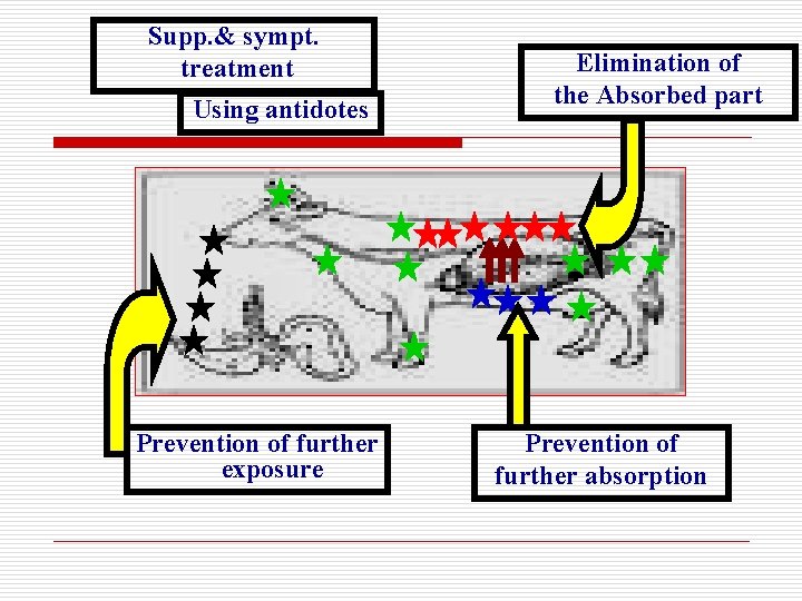 Supp. & sympt. treatment Using antidotes Prevention of further exposure Elimination of the Absorbed