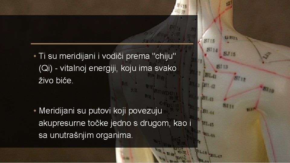  • Ti su meridijani i vodiči prema "chiju" (Qi) - vitalnoj energiji, koju