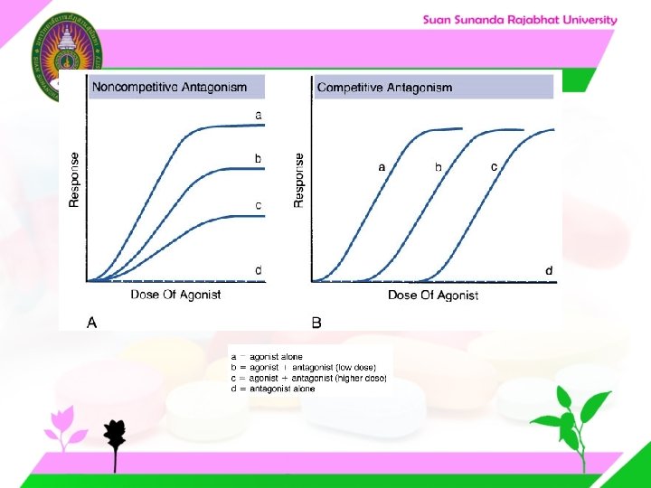 Figure 5 -7: Competitive and Noncompetitive Anatagonists Figure 5 -7: Competitive and Noncompetitive Anatagonists