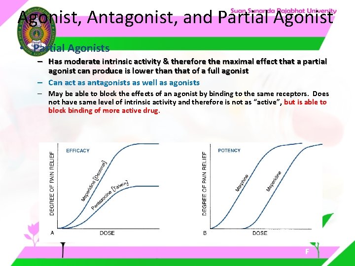 Agonist, Antagonist, and Partial Agonist • Partial Agonists – Has moderate intrinsic activity & Agonist, Antagonist, and Partial Agonist • Partial Agonists – Has moderate intrinsic activity &