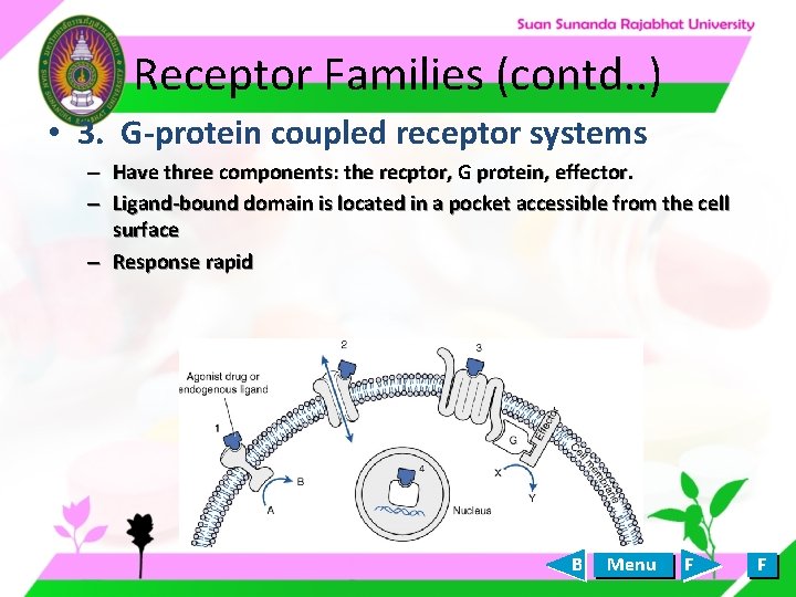 Receptor Families (contd. . ) • 3. G-protein coupled receptor systems – Have three Receptor Families (contd. . ) • 3. G-protein coupled receptor systems – Have three