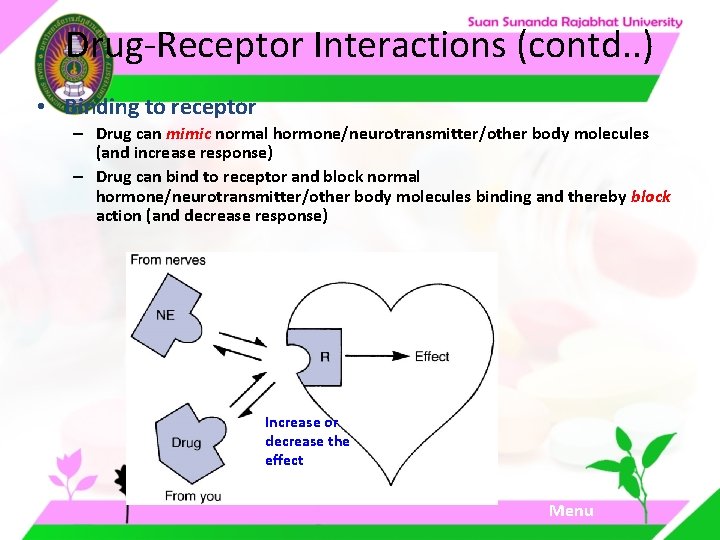 Drug-Receptor Interactions (contd. . ) • Binding to receptor – Drug can mimic normal Drug-Receptor Interactions (contd. . ) • Binding to receptor – Drug can mimic normal