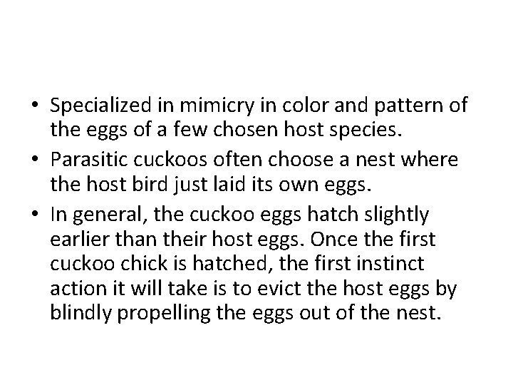  • Specialized in mimicry in color and pattern of the eggs of a