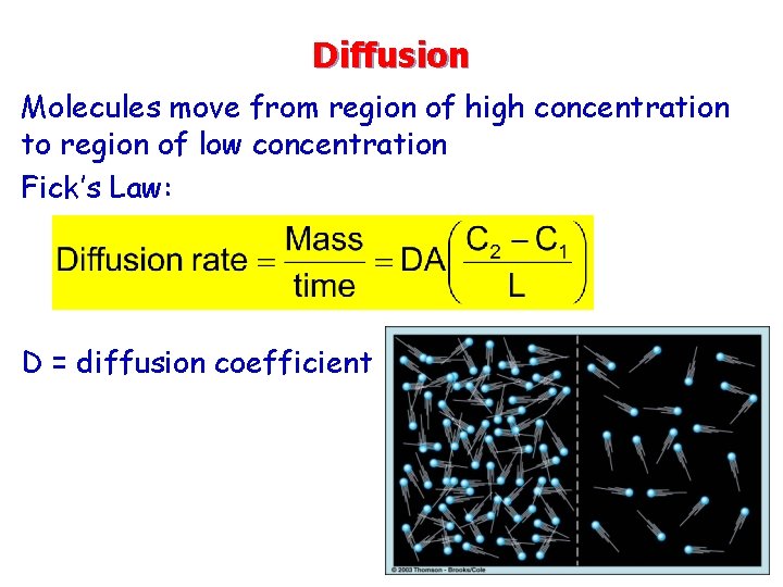 Diffusion Molecules move from region of high concentration to region of low concentration Fick’s