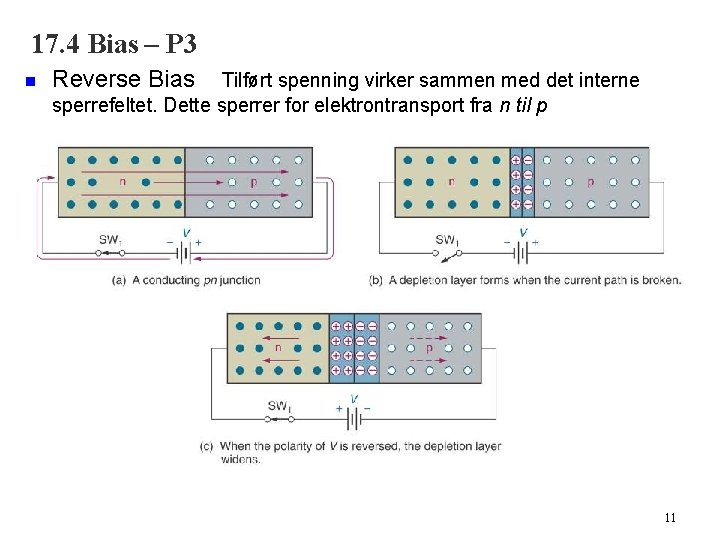 17. 4 Bias – P 3 n Reverse Bias Tilført spenning virker sammen med