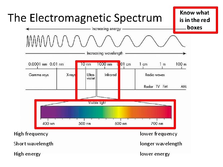 The Electromagnetic Spectrum Know what is in the red boxes High frequency lower frequency