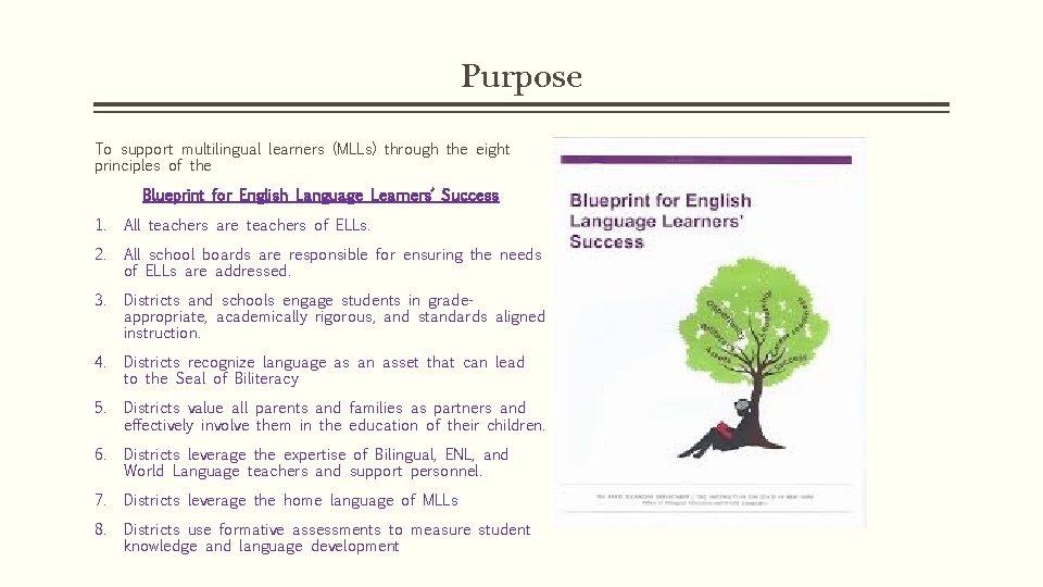 Purpose To support multilingual learners (MLLs) through the eight principles of the Blueprint for