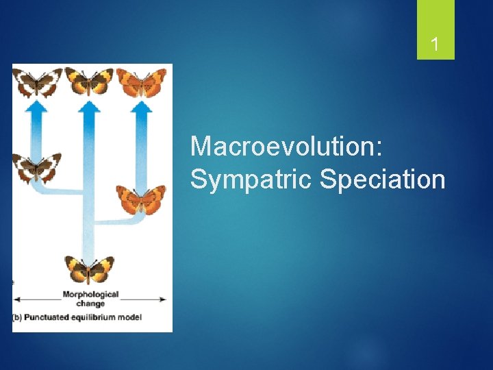 1 Macroevolution: Sympatric Speciation 