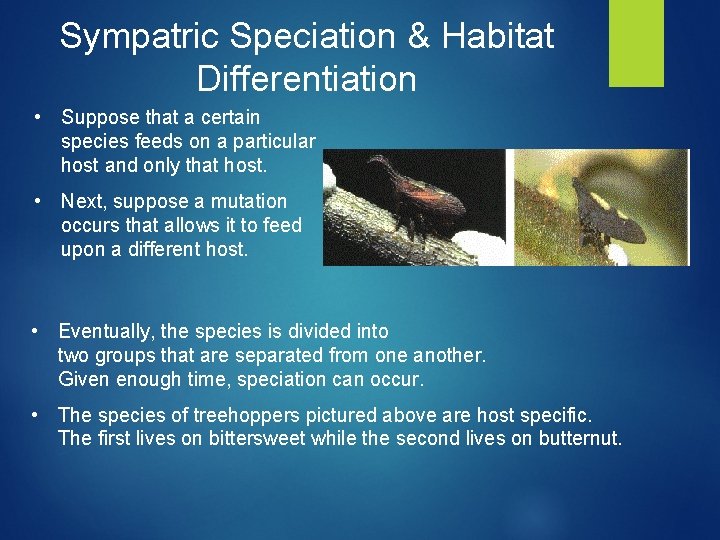 Sympatric Speciation & Habitat Differentiation • Suppose that a certain species feeds on a