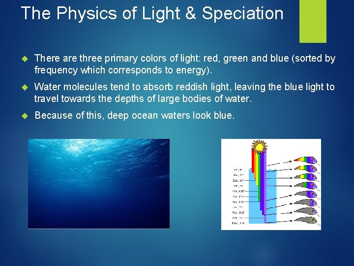 The Physics of Light & Speciation There are three primary colors of light: red,