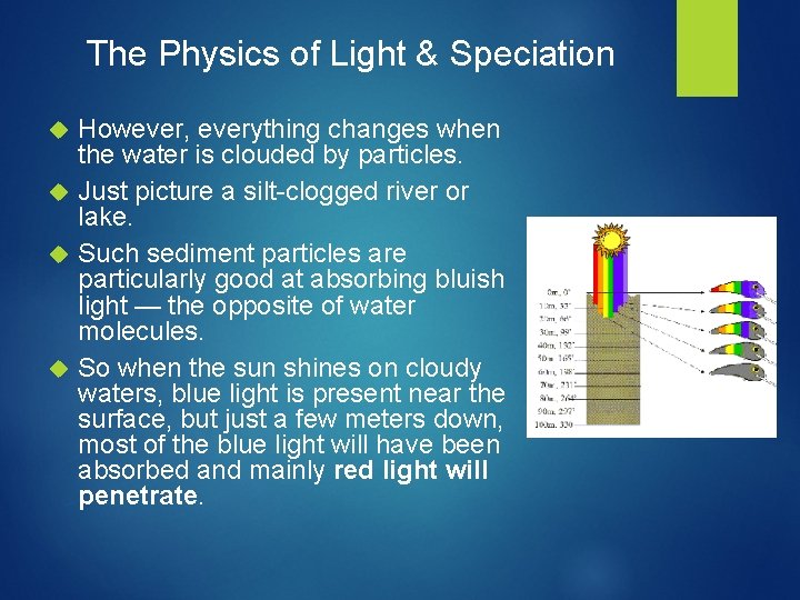 The Physics of Light & Speciation However, everything changes when the water is clouded