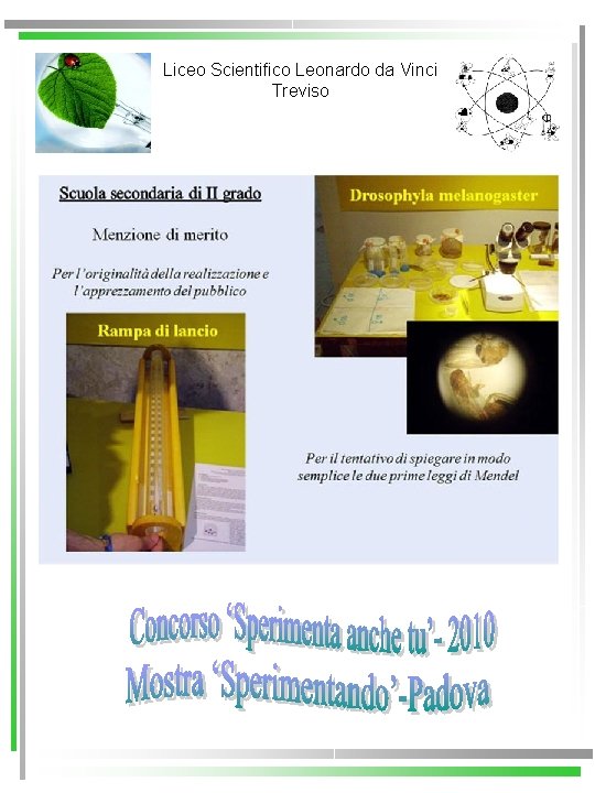 Liceo Scientifico Leonardo da Vinci Treviso 