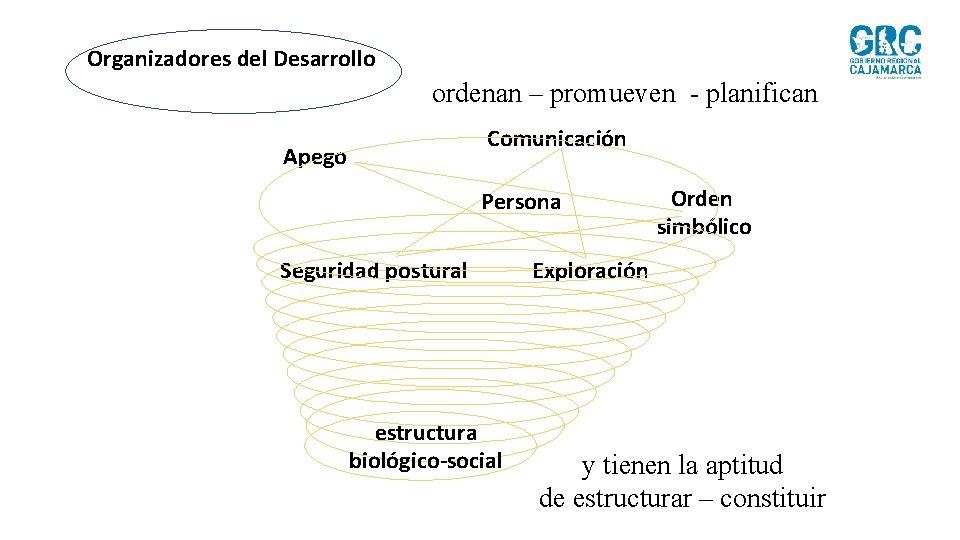 Organizadores del Desarrollo ordenan – promueven - planifican Comunicación Apego Persona Seguridad postural estructura