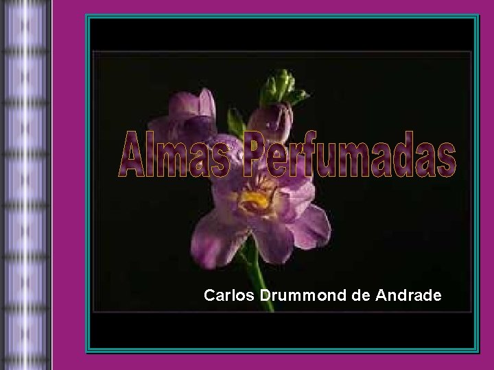 Carlos Drummond de Andrade 