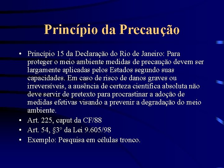 Princípio da Precaução • Princípio 15 da Declaração do Rio de Janeiro: Para proteger