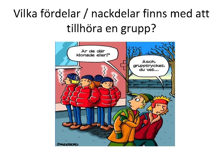 Vilka fördelar / nackdelar finns med att tillhöra en grupp? 