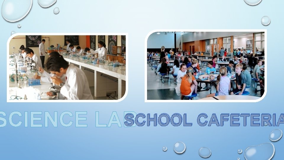 SCHOOL CAFETERIA SCIENCE LAB 