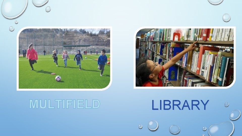 MULTIFIELD LIBRARY 