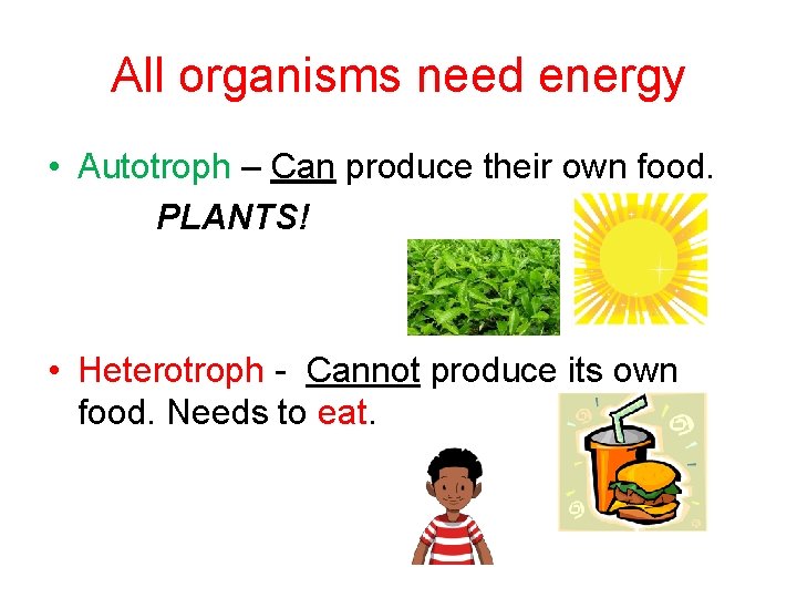 All organisms need energy • Autotroph – Can produce their own food. PLANTS! •