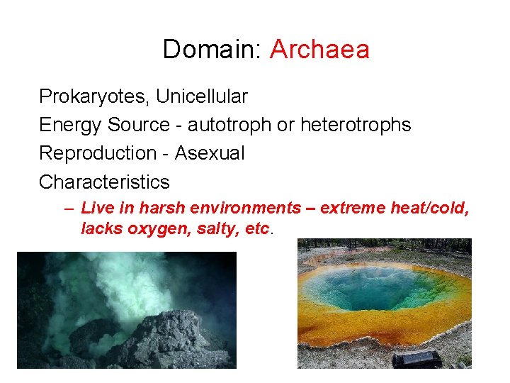 Domain: Archaea Prokaryotes, Unicellular Energy Source - autotroph or heterotrophs Reproduction - Asexual Characteristics