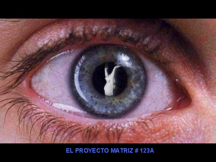 EL PROYECTO MATRIZ # 123 A 