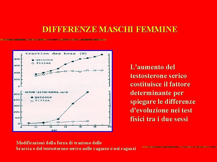 DIFFERENZE MASCHI FEMMINE L'aumento del testosterone serico costituisce il fattore determinante per spiegare le
