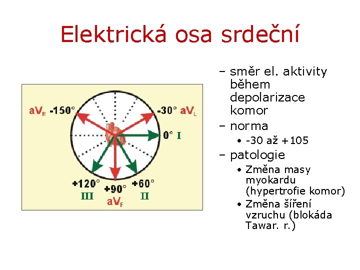 Elektrická osa srdeční – směr el. aktivity během depolarizace komor – norma • -30