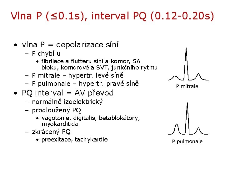 Vlna P (≤ 0. 1 s), interval PQ (0. 12 -0. 20 s) •