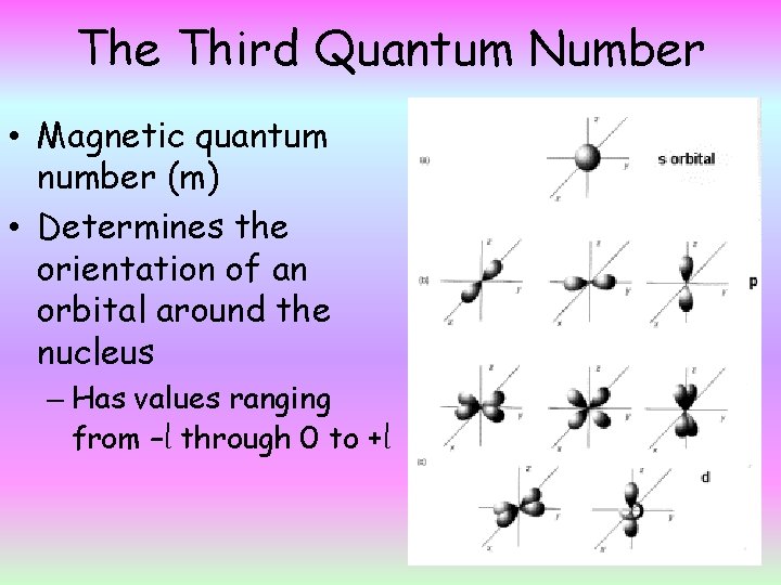 The Third Quantum Number • Magnetic quantum number (m) • Determines the orientation of