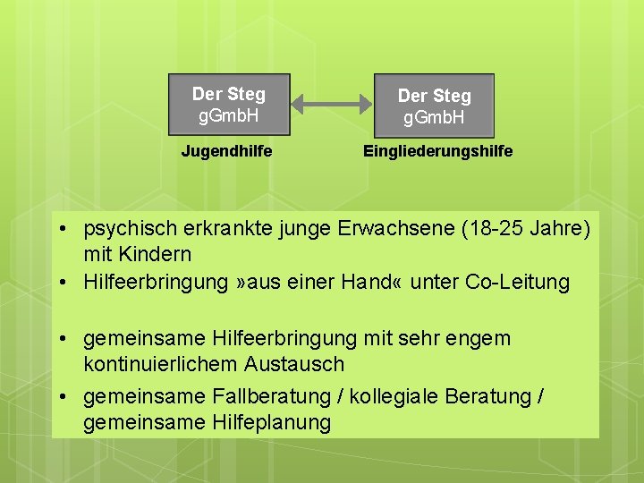 Der Steg g. Gmb. H Jugendhilfe Eingliederungshilfe • psychisch erkrankte junge Erwachsene (18 -25