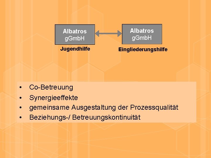  • • Albatros g. Gmb. H Jugendhilfe Eingliederungshilfe Co-Betreuung Synergieeffekte gemeinsame Ausgestaltung der