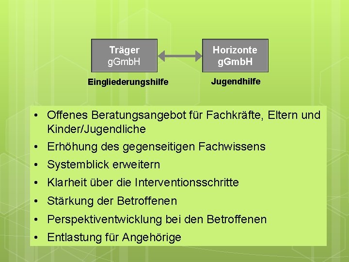 Träger g. Gmb. H Eingliederungshilfe Horizonte g. Gmb. H Jugendhilfe • Offenes Beratungsangebot für