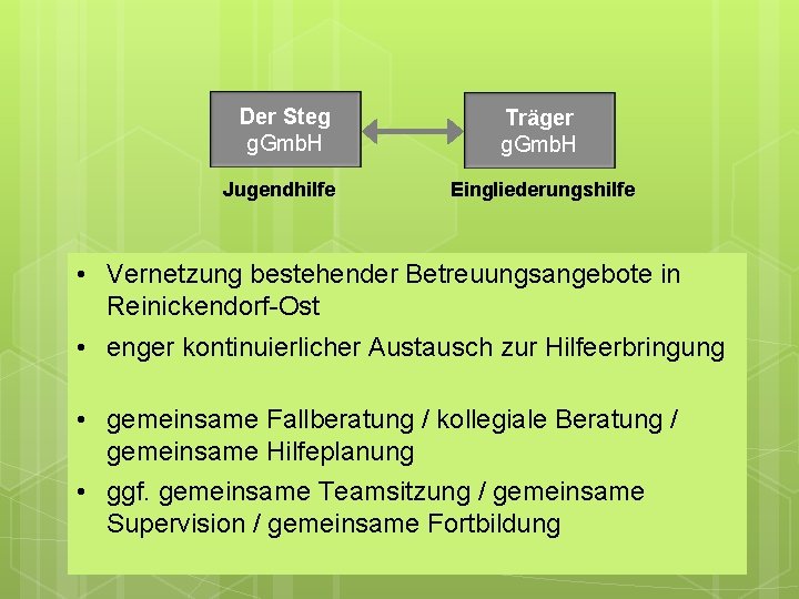 Der Steg g. Gmb. H Jugendhilfe Träger g. Gmb. H Eingliederungshilfe • Vernetzung bestehender