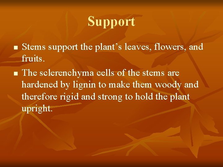 Support n n Stems support the plant’s leaves, flowers, and fruits. The sclerenchyma cells